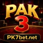 Pak3 Game