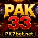 PAK33 Game